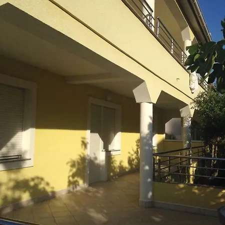 Babic * Zadar